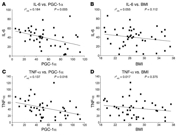 Correlation between PGC-1α and IL-6 gene expression in skeletal muscle o...