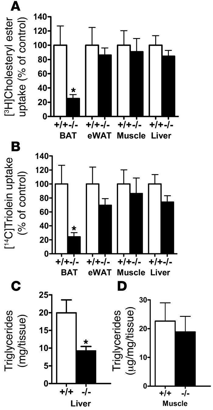 Tissue distribution of radiolabeled lipids after infusion with lipid emu...