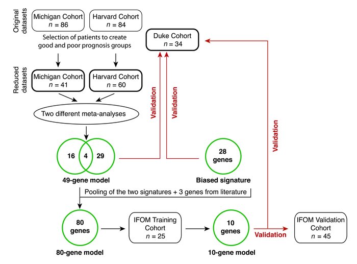 Strategy of the study.
Validation of models as good predictors of progno...