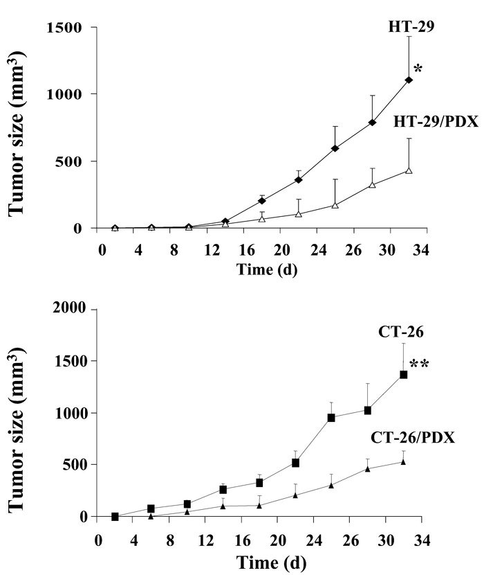 In vivo tumorigenicity assay.
HT-29, HT-29/PDX, CT-26, or CT-26/PDX cell...