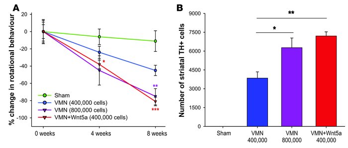 Wnt5a reduces the number of cells required for functional engraftment in...