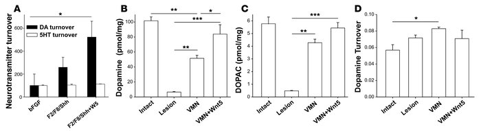 VMN-Wnt5a cells show midbrain dopaminergic biochemical properties in vit...