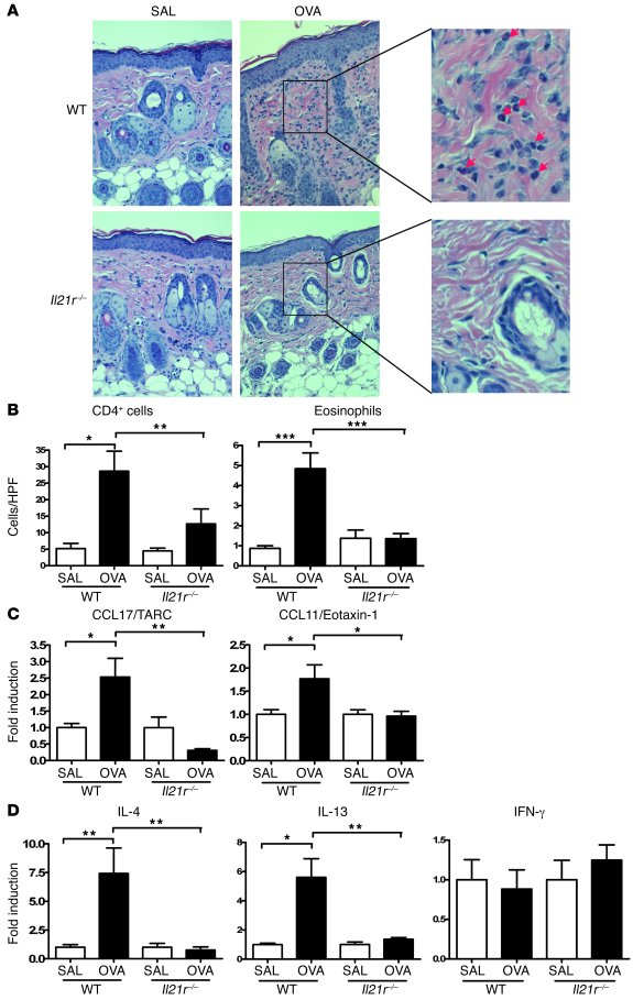 Impaired allergic skin inflammation and systemic response to e.c. sensit...