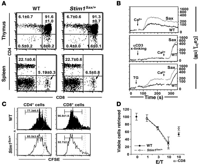 T cell function in Stim1Sax/+ mice.
               
(A) Flow cytometric ...