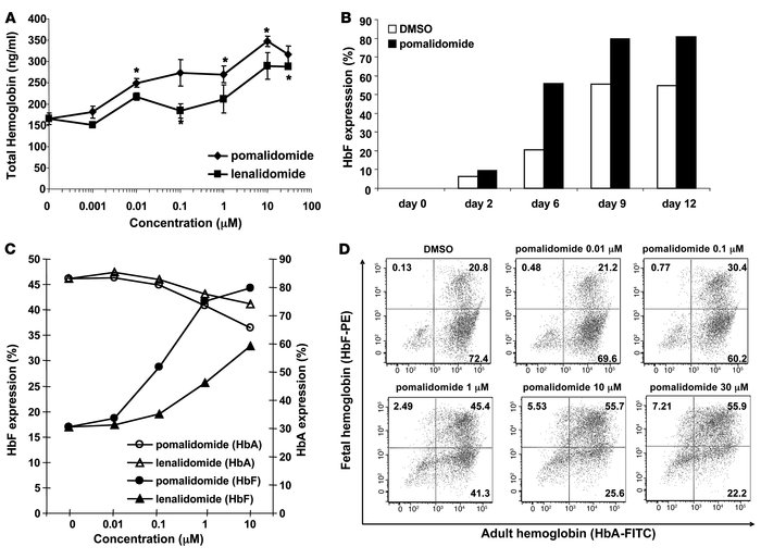 Pomalidomide and lenalidomide increase HbF production in erythroid cells...