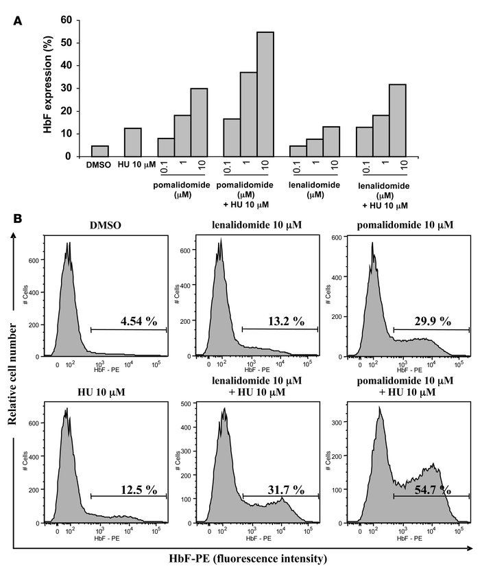 HU is synergistic with pomalidomide and lenalidomide in increasing HbF e...