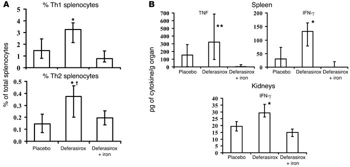 Iron chelation increases splenic Th1 and Th2 lymphocyte frequencies and ...