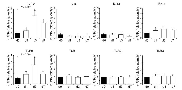 1α25VitD3 elevates IL-10 and TLR9 expression in vivo.
CD3+CD4+ T cells w...