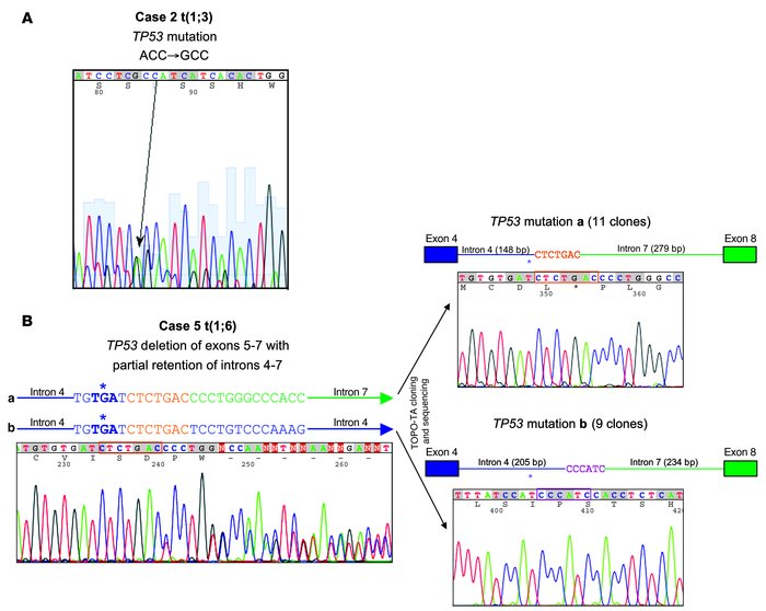 
TP53 mutations in 2 AML patients with PRDM16 overexpression.
          ...