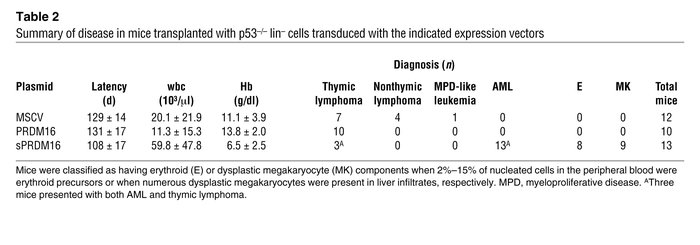 Summary of disease in mice transplanted with p53–/– lin– cells transduce...