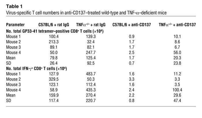 Virus-specific T cell numbers in anti-CD137–treated wild-type and TNF-α–...
