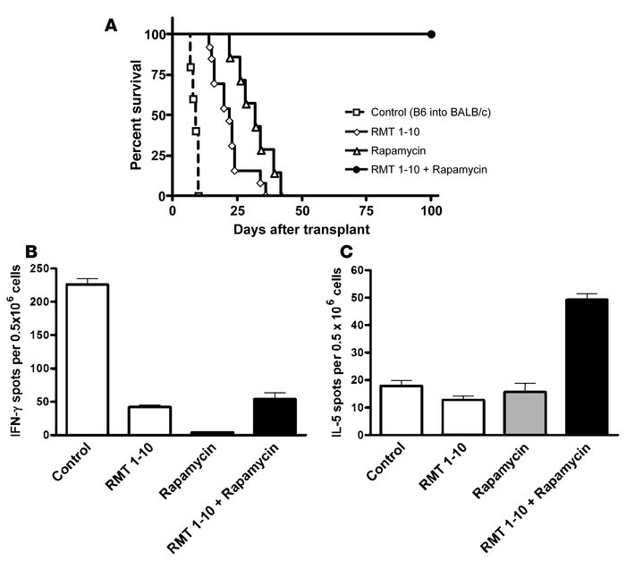 Combination therapy with RMT1-10 and rapamycin results in allograft acce...