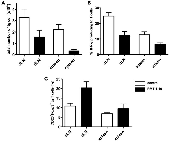 Anti–TIM-1 does not convert naive CD4+CD25– to CD4+CD25+Foxp3+ T cells.
...