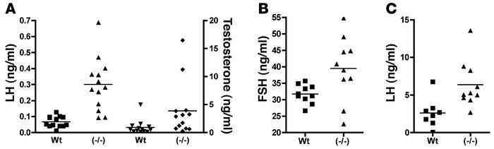 LH, T, and FSH levels in WT and GalNAc-4-ST1–/– male mice.
   
Serum was...