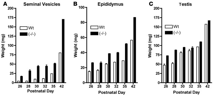 Comparison of weights for seminal vesicles, epididymides, and testes of ...