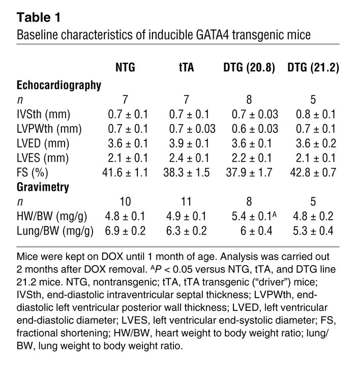 Baseline characteristics of inducible GATA4 transgenic mice