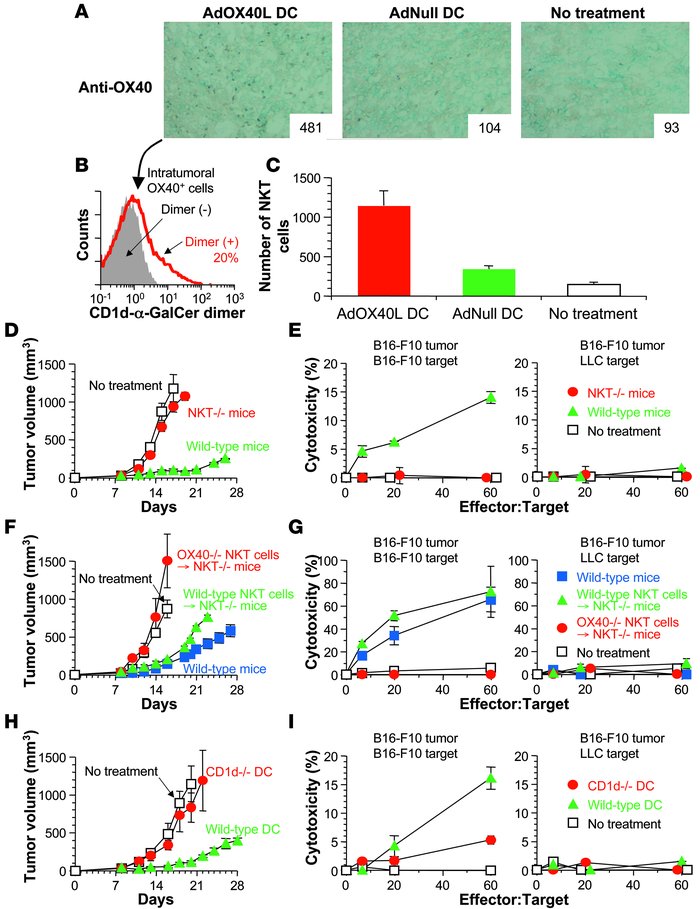 Involvement of NKT cells in the therapeutic effect elicited by intratumo...