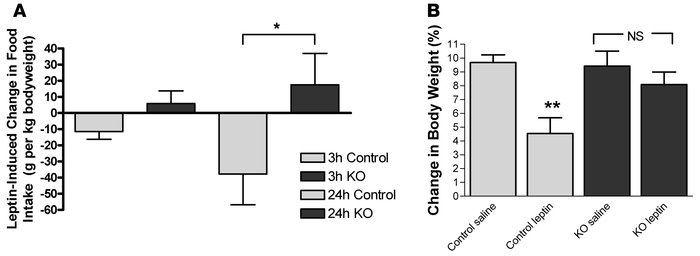 Leptin fails to suppress feeding in Pik3r1 POMCKO Pik3r2–/– mice.
   
(A...