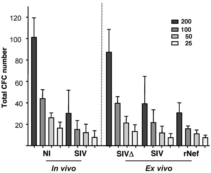 SIV impairs LTC-IC.
The left panel shows LTC-IC assay of CD34+ BM cells ...