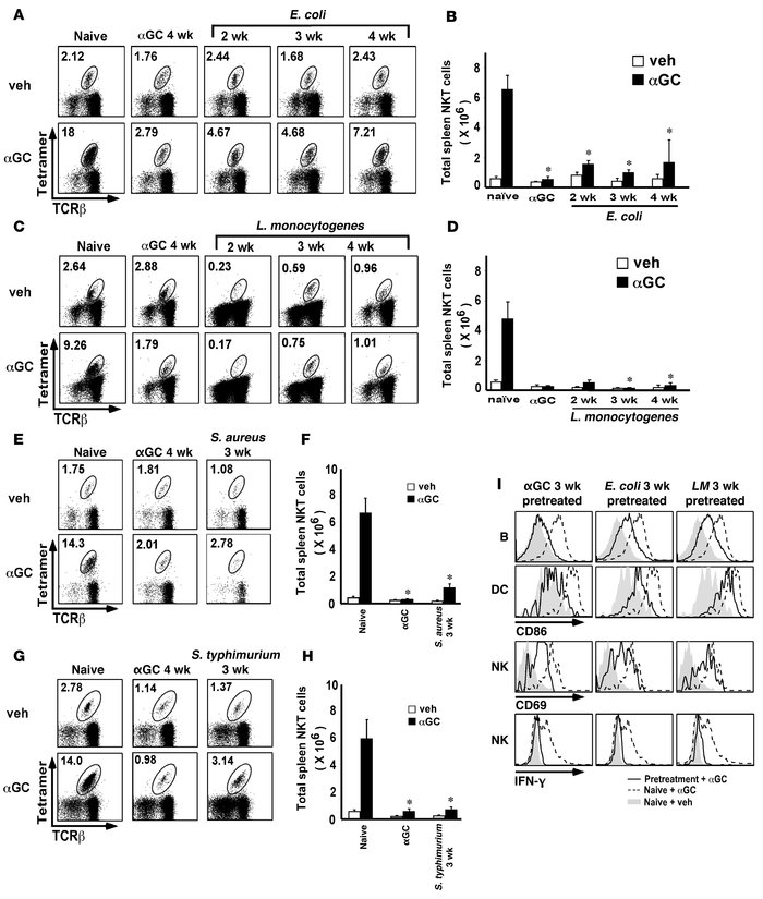 Bacteria can induce iNKT cell hyporesponsiveness to α-GalCer rechallenge...