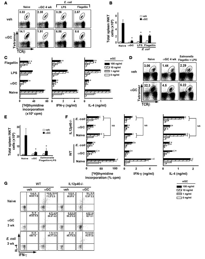 Role of bacterial TLR ligands and IL-12 in the induction of iNKT cell hy...