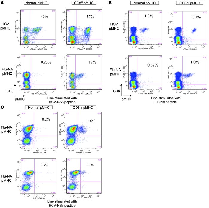 Analysis of T cell cross-reactivity between HCV-NS3 and Flu-NA using CD8...