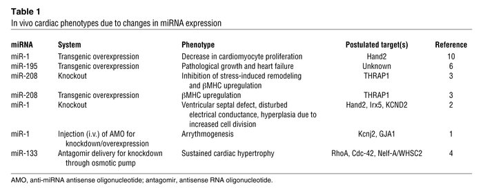 In vivo cardiac phenotypes due to changes in miRNA expression