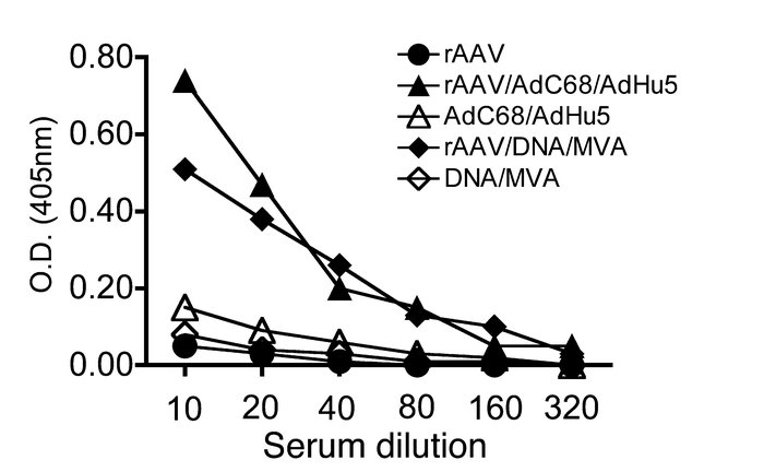 rAAV priming increases the transgene product–specific antibody response ...