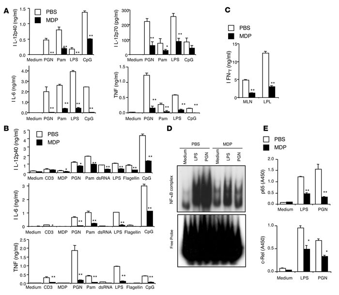 MDP administration reduces the TLR-induced cytokine responses of MLN and...