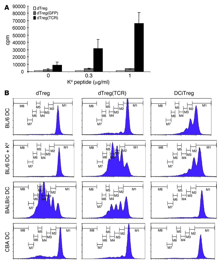 TCR transduction conferred indirect allospecificity to direct allospecif...