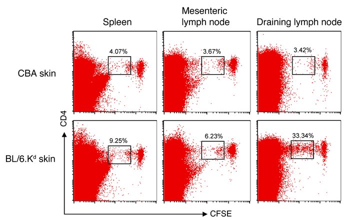 TCR-transduced Tregs expanded at the site of antigenic challenge.
TCR-tr...