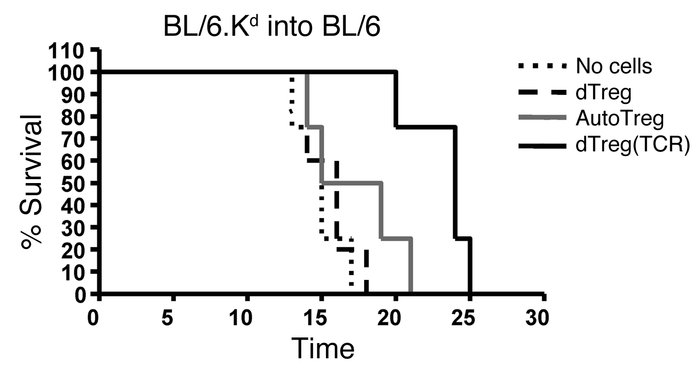 TCR-transduced Tregs prolonged BL/6.Kd skin graft survival in fully immu...