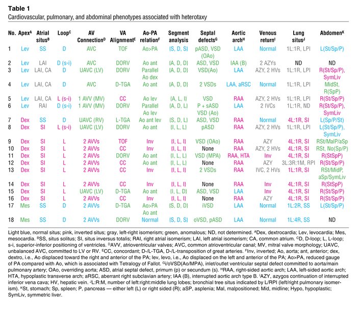 Cardiovascular, pulmonary, and abdominal phenotypes associated with hete...