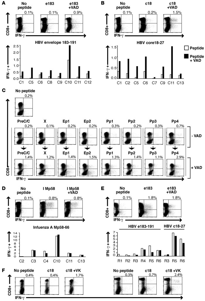 Rescue of in vitro–cultured HBV-specific CD8+ T cells derived from indiv...