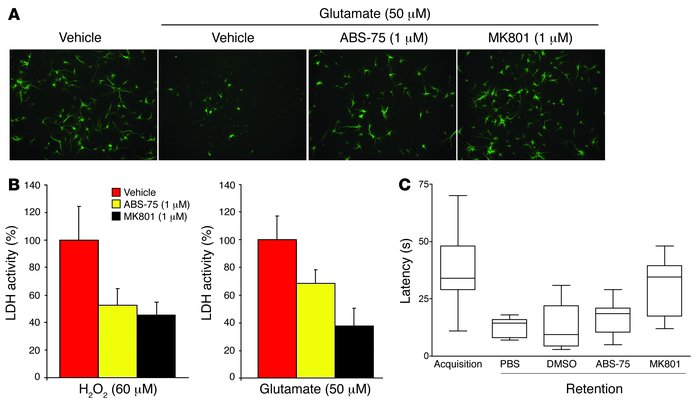 Fullerene ABS-75 treatment halts oxidative injury, blocks CCL2 productio...