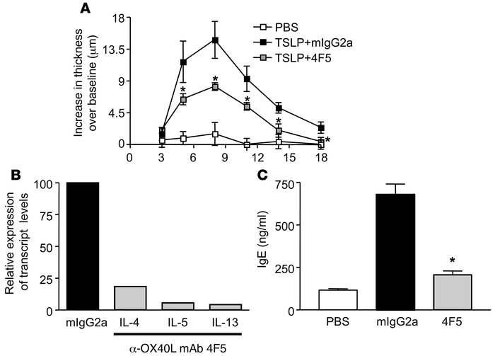 α-mOX40L mAb blocks TSLP-induced inflammation in skin.
BALB/c mice (n = ...