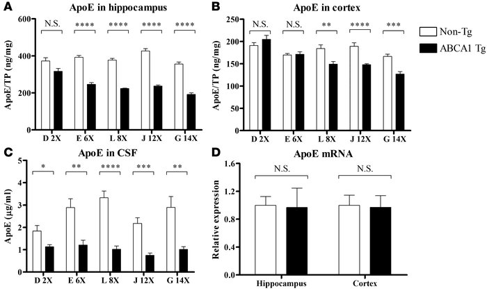 Levels of apoE in the hippocampus, cortex, and CSF of 3-month-old PrP-mA...