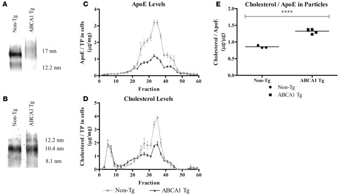 Analysis of apoE-containing lipoprotein particles derived from PrP-mAbca...
