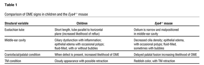 Comparison of OME signs in children and the Eya4–/– mouse
               