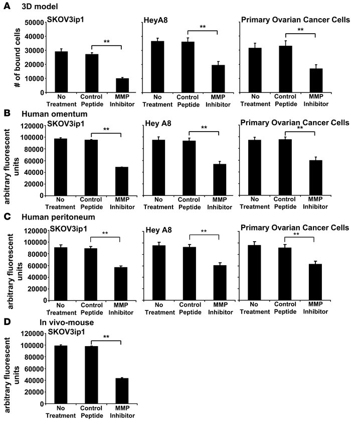 An MMPI inhibits adhesion of OvCa cells to a 3D culture of human omentum...