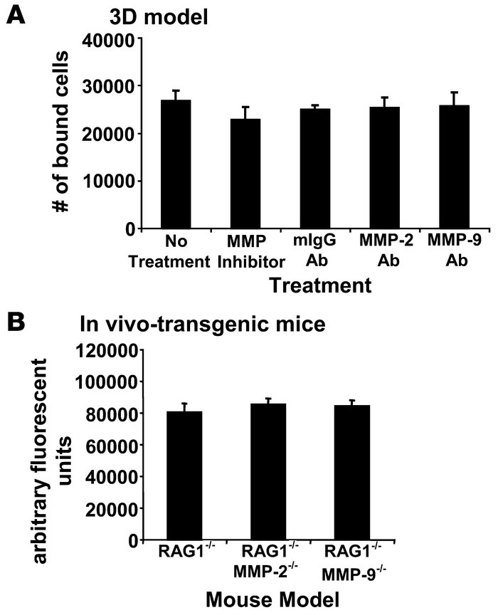 Host-derived MMP-2 and MMP-9 does not affect adhesion of OvCa cells.
(A)...