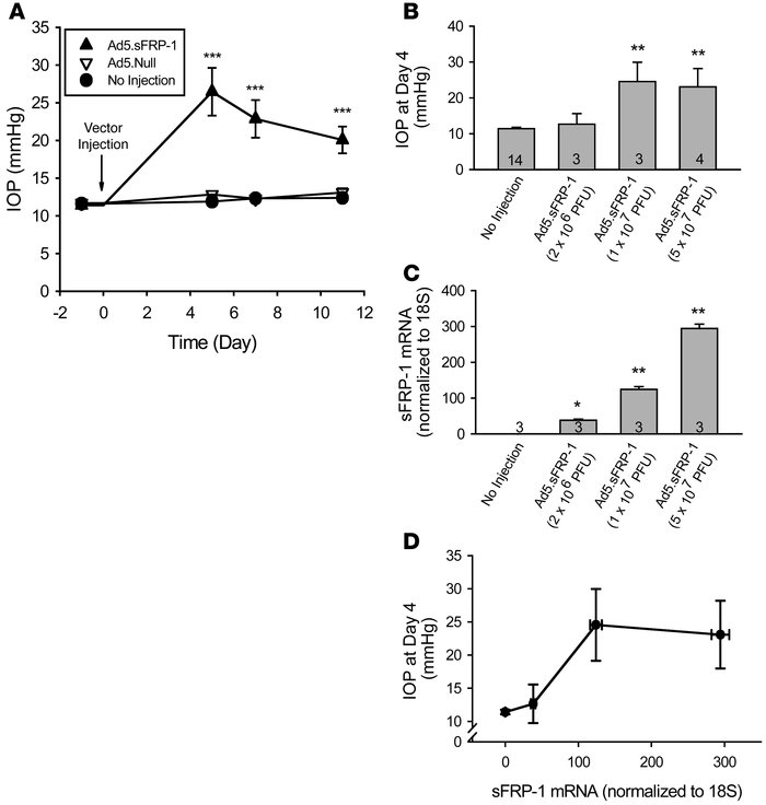 Effects of Ad5.
FRP-1 on mouse IOP and sFRP1 expression. (A) Ad5.sFRP1 (...