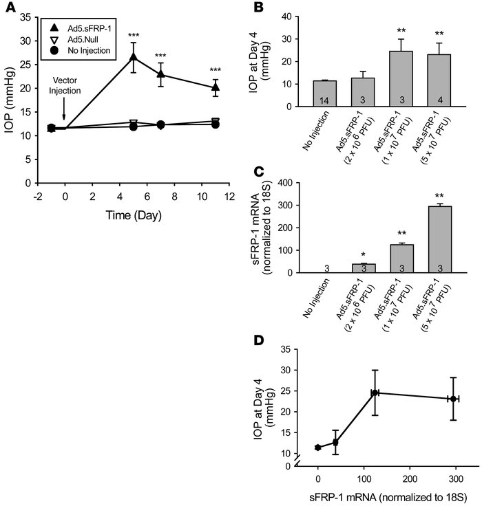 Effects of Ad5.
FRP-1 on mouse IOP and sFRP1 expression. (A) Ad5.sFRP1 (...