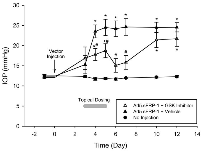 Effect of GSK inhibitor on sFRP1-induced ocular hypertension in mice.
Af...