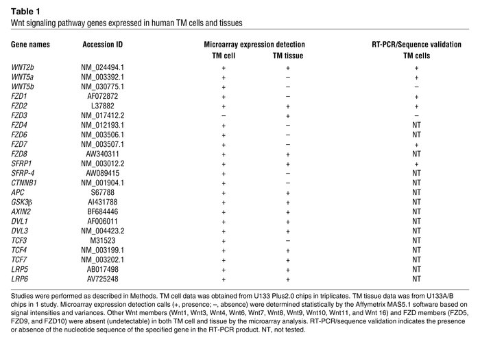 Wnt signaling pathway genes expressed in human TM cells and tissues