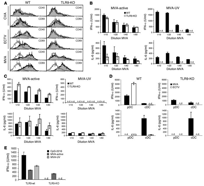 Response of TLR9-deficient or WT cells to poxvirus infection in vitro.
(...