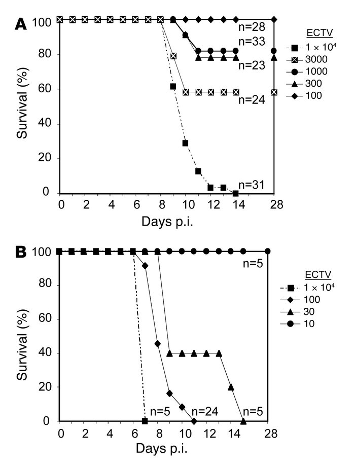 Survival of WT and TLR9-deficient mice in response to ECTV infection.
WT...