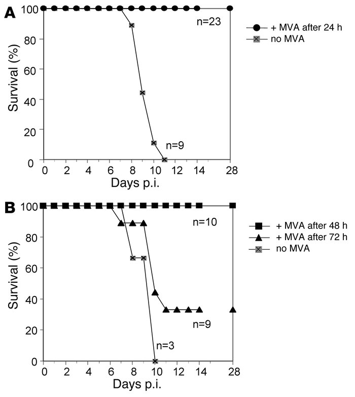 MVA therapeutically protects TLR9-deficient mice if applied after infect...