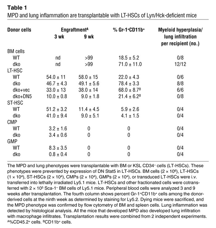 MPD and lung inflammation are transplantable with LT-HSCs of Lyn/Hck-def...