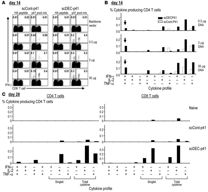 scDEC DNA vaccine improves HIV gag–specific T cell responses.
Graded dos...